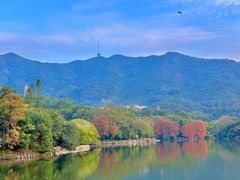 -深圳仙湖植物园