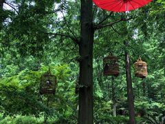 -崇明东平国家森林公园烧烤房车露营地