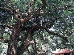 -福清灵石山国家森林公园