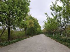 -秀丽东方