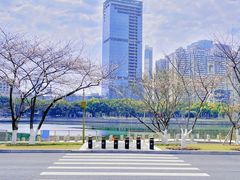 -西北湖绿化广场
