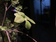 -隐溪茶馆(金虹桥店)