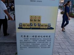 -三亚红色娘子军演艺公园景区