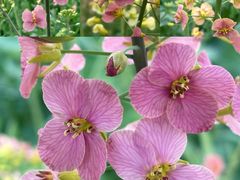 -中国天府农业博览园