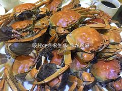 -金龙渔港(双楠店)