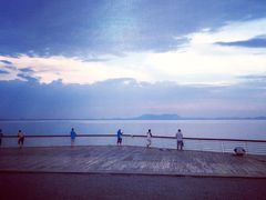 -贡湖湾湿地公园