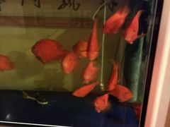 -品湘楼(方庄店)