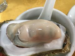 -蚝专家(北滘店)