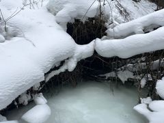 -峡谷浮石林景区