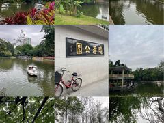 -晓港公园