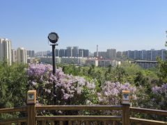 -南翠屏公园
