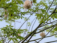 -中航城君尚购物中心