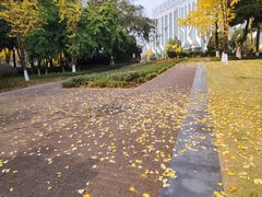 -重庆彩云湖湿地公园