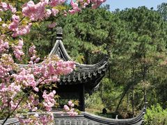 -九龙潭景区