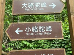-大岭沟猕猴桃谷风景区