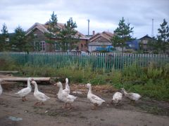 -北极村旅游风景区