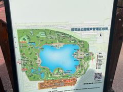 -莲花池公园