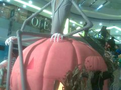 店内环境-凯德广场(学府店)