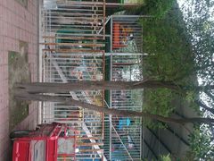 android_upload_pic-解放人民公园