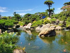 -罗红摄影艺术馆