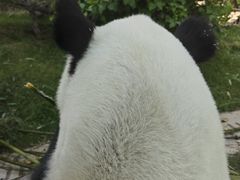 -青藏高原野生动物园