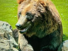 -北京野生动物园