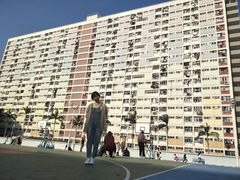 -彩虹村
