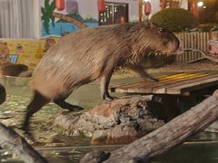 -郑州银基黄帝宫御温泉