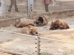 -昆明动物园