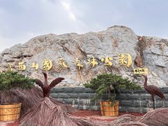 -北京西山国家森林公园