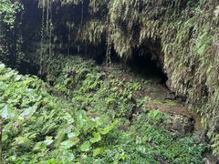 -海口火山口国家地质公园