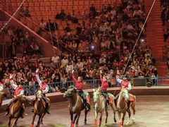 -俄罗斯国家大马戏团