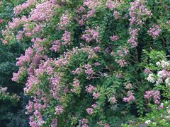 -杭州城北体育公园