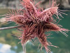 -楠溪江风景名胜区