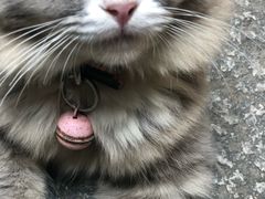 -老屋咖啡
