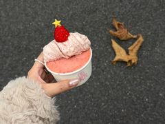 -红楼HONGLOU Gelato(淮海中路店)