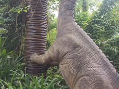 -海南热带野生动植物园