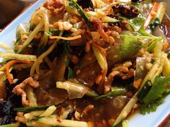 东北拉皮-白天鹅家宴·东北菜