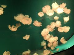 -福州罗源湾海洋世界旅游区