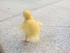 -嘉悦汗蒸时代(曙光路店)
