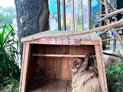 -乐和乐都主题乐园