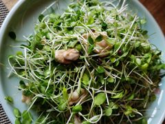 香椿苗核桃仁-庆云楼饭庄(什刹海店)