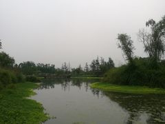 -桤木河湿地公园