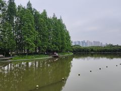 -江心屿景区