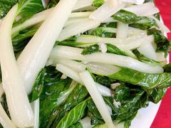 -蛇口康乐快餐鱼仔档(翠苑小区店)