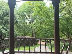-八大山人梅湖景区