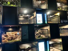 -太平洋海底世界