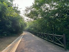 -南山风景名胜区
