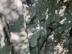 -北京上方山国家森林公园