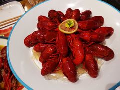-杨氏青龙虾·羊蝎子(托乐嘉店)